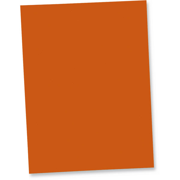 Lyreco vouwmappen A4 karton 250g oranje - pak van 100