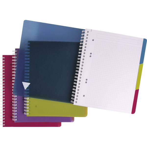 BLOCCO CLAIREFONTAINE LINICOLOR EVOLUTIV' F.TO A5+ A QUADRETTI 5X5 180PAG 90G/MQ