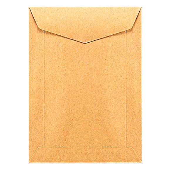 Enveloppes spéciales sacs de paie 95x145mm 70g brunes - boite de 1000