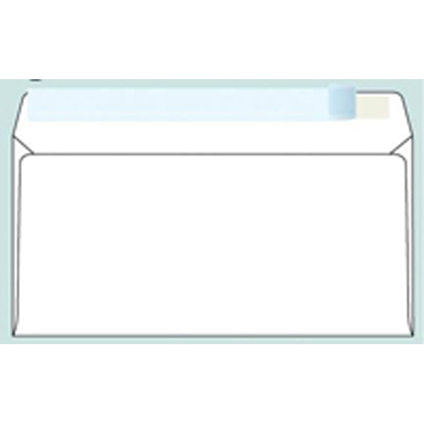 BX50 KRPA ENVELOPES W/WINDOW STRIP DL