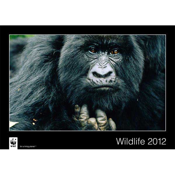 WWF 61544 CALENDRIER 48X34CM