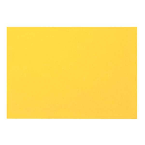 Schede archivio Biella A6 in bianco, giallo, conf. da 100 pz.