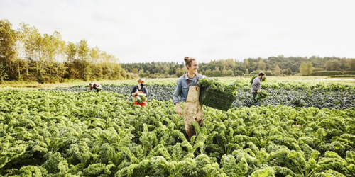 Trvale udržitelná řešení