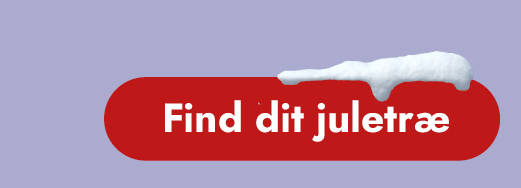 Find dit juletræ