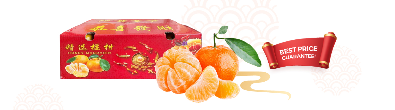 CNY2025 Orange