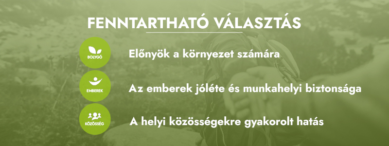 Fenntartható választás