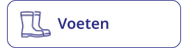 voeten