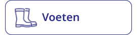 Voet