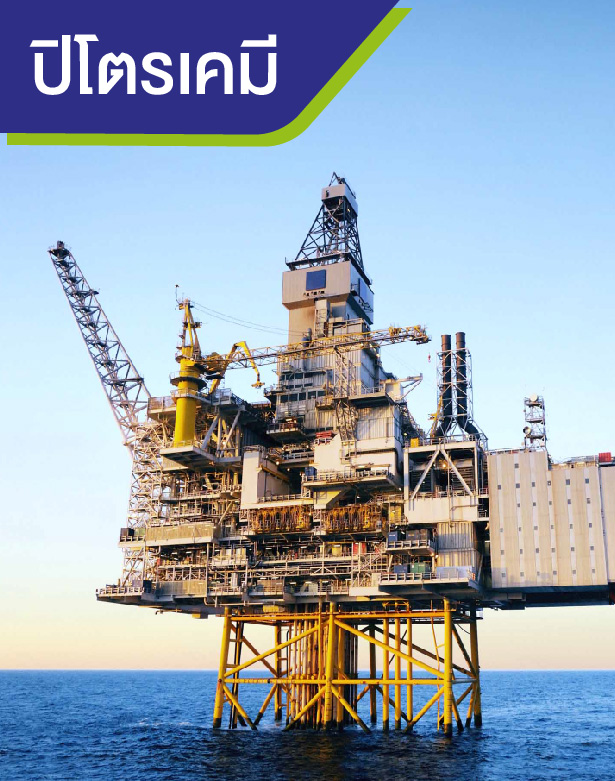 ppe-petrochemical